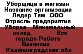 Уборщица в магазин › Название организации ­ Лидер Тим, ООО › Отрасль предприятия ­ Уборка › Минимальный оклад ­ 20 000 - Все города Работа » Вакансии   . Калининградская обл.,Приморск г.